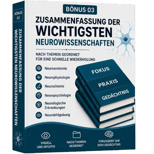 Bonus 03 - Zusammenfassung der wichtigsten Neuro-Themen